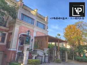 坂田vip2